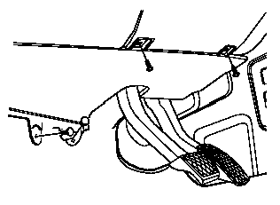 Graphic